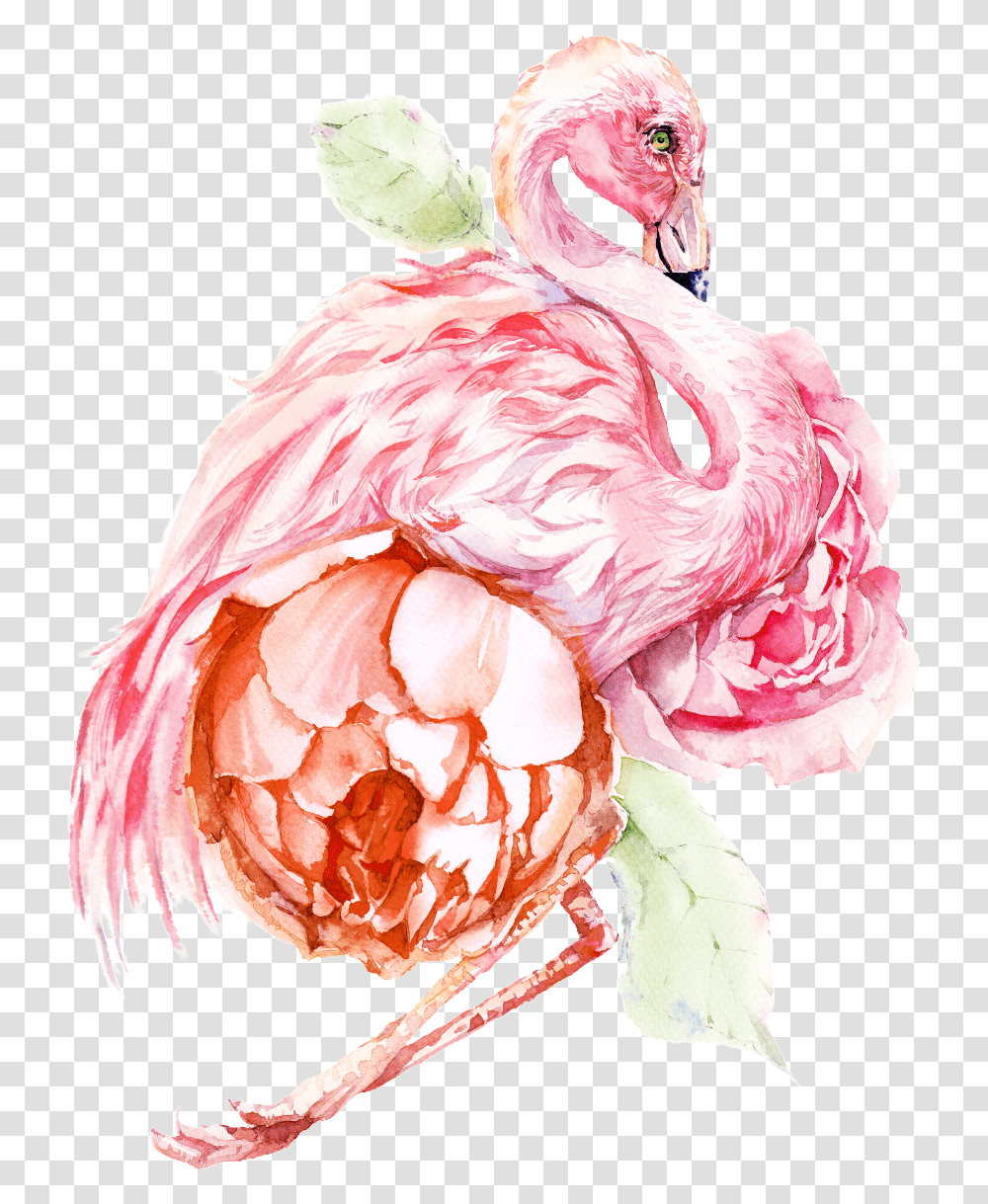This Graphics Is Hand Painted Flamingo Portable Network Graphics, Animal, Bird, Flower, Plant Transparent Png