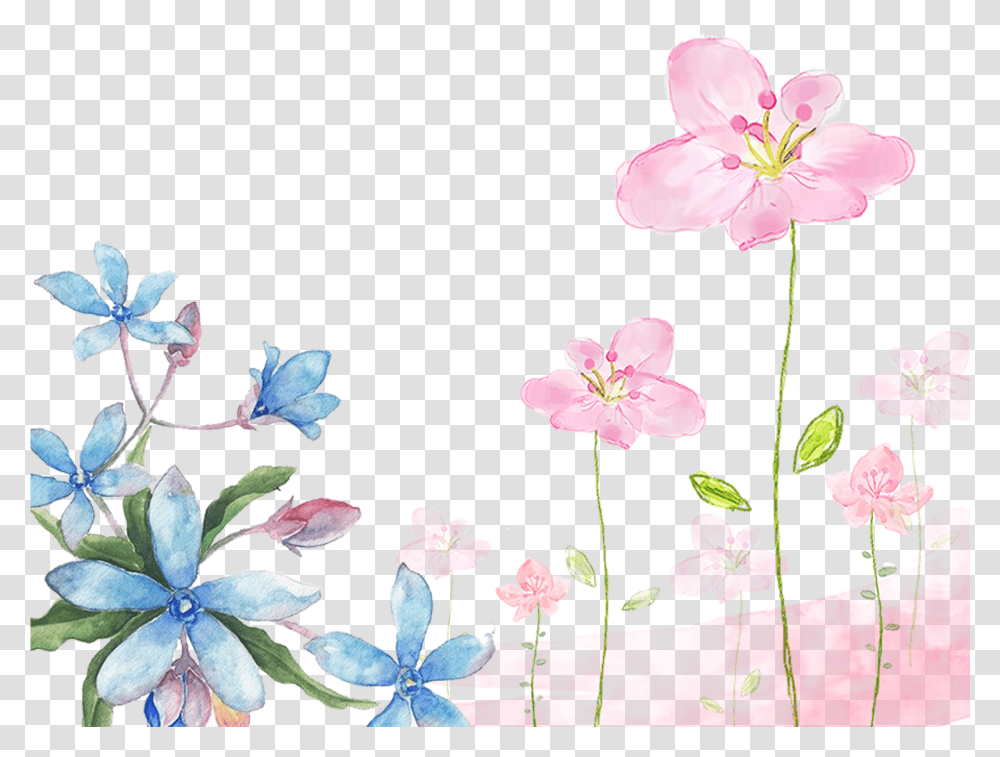 This Graphics Is Hand Painted Watercolor Flowers Decorative Water Color Flower Background, Plant, Blossom, Geranium, Anther Transparent Png