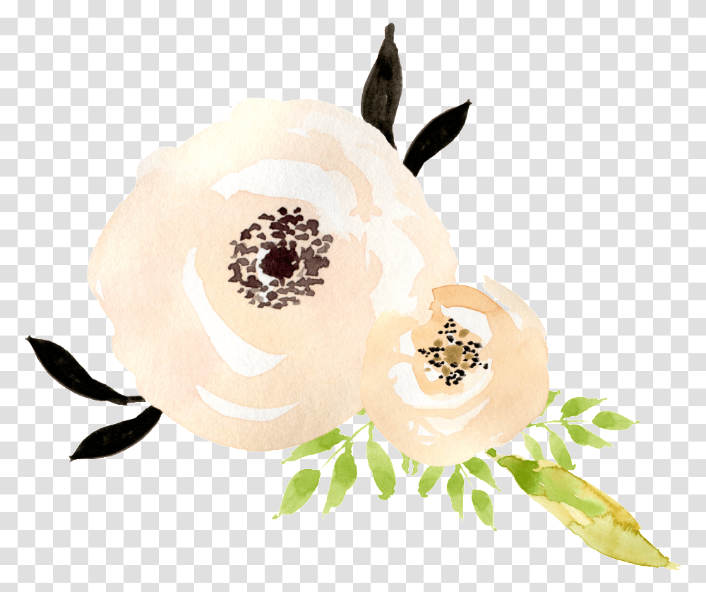 This Graphics Is Milk White Bouquet Decorative, Plant, Flower, Anther, Rose Transparent Png