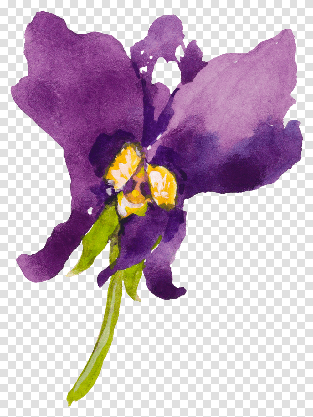 This Graphics Is Purple Cartoon Butterfly Orchid Watercolor Watercolour Orchid Svg, Plant, Flower, Blossom, Iris Transparent Png