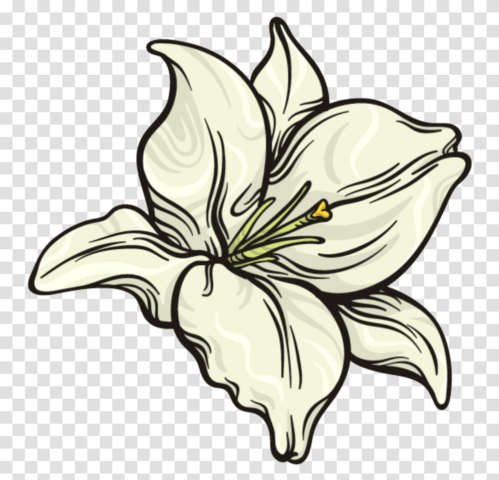 This Graphics Is Snow White Flower Lily, Plant, Blossom, Antelope, Wildlife Transparent Png