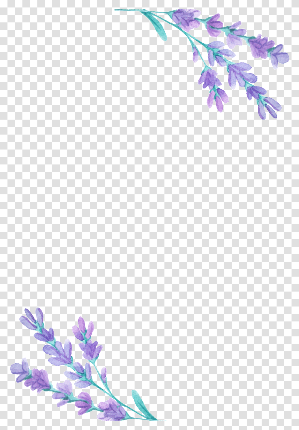 This Graphics Is Violet Elegant Floral Wish My Papa Was Alive, Plant, Flower, Blossom, Lupin Transparent Png
