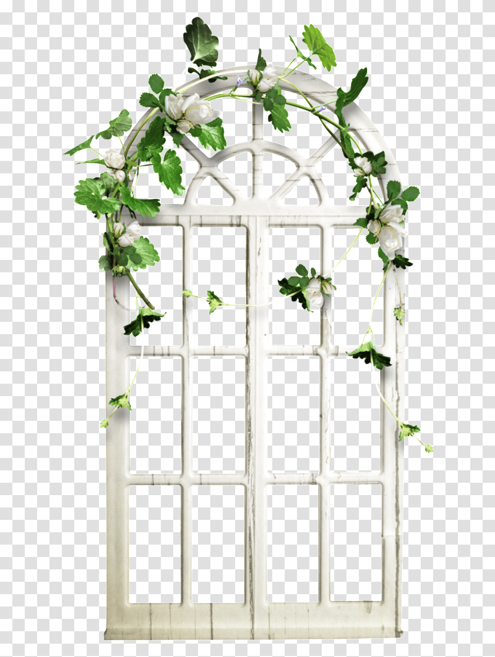 This Graphics Is White Door Frame About, Plant, Gate, Vine, Ivy Transparent Png