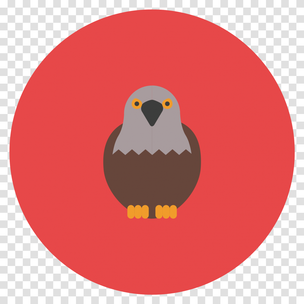 This Icon Represents A Falcon Hawk, Beak, Bird, Animal, Eagle Transparent Png