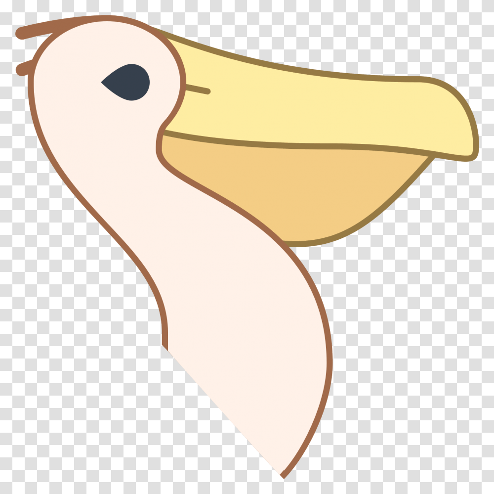 This Image Is Of The Head And Neck Of A Pelican, Axe, Tool, Plant, Bird Transparent Png