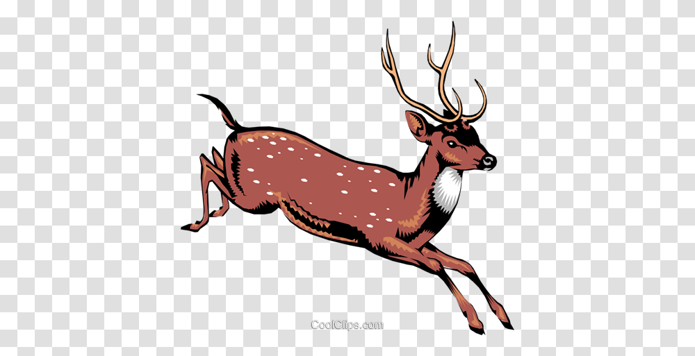 This Is A Deer Royalty Free Vector Clip Art Illustration, Antelope, Wildlife, Mammal, Animal Transparent Png