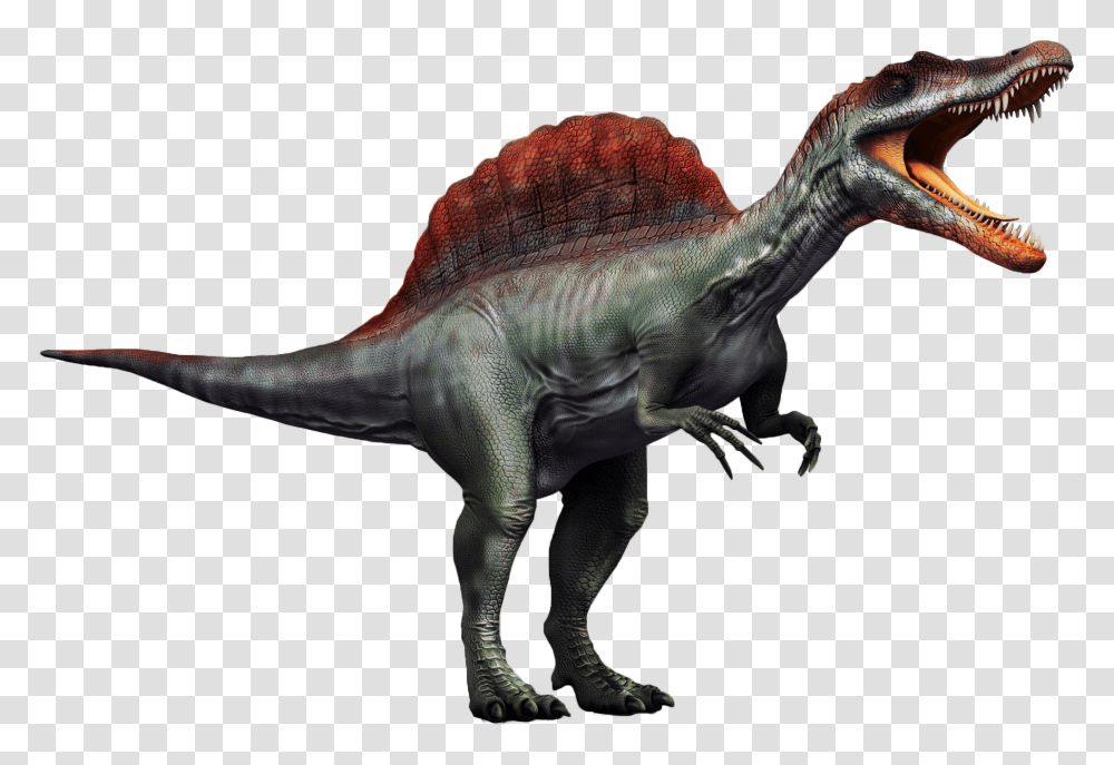 This Is The Last Version Of The Spinosaurus Description, Dinosaur, Reptile, Animal, T-Rex Transparent Png