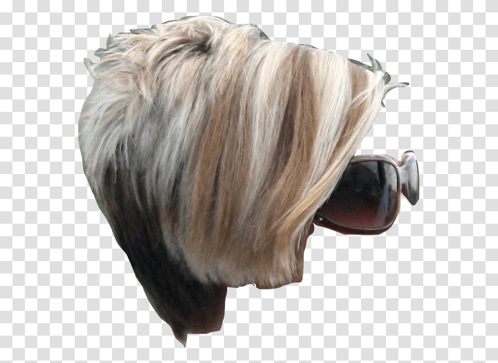 This Ladys Hairdo Fights Her Battles For Her And Wins, Sunglasses, Accessories, Person, Head Transparent Png