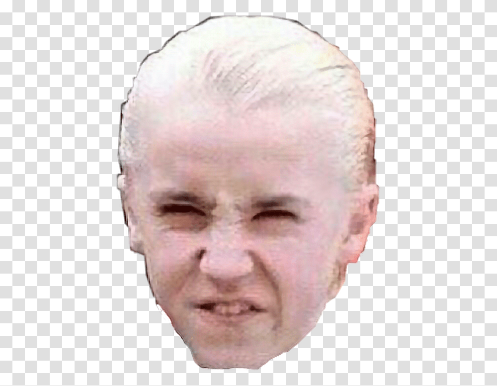 This Needs No Explanation Draco Malfoy Face, Head, Person, Human, Skin Transparent Png