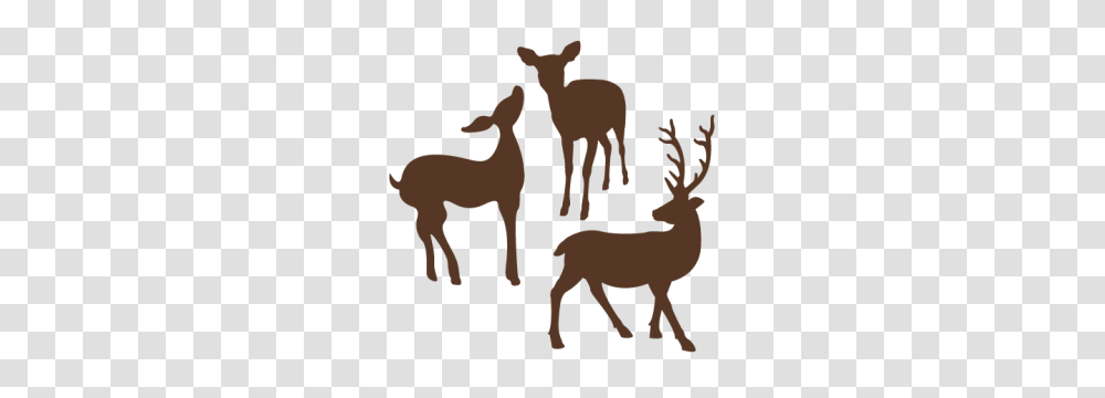 This Would Be Cute As Christmas Decorations Or Tree Ornaments Cut, Animal, Mammal, Kangaroo, Wallaby Transparent Png
