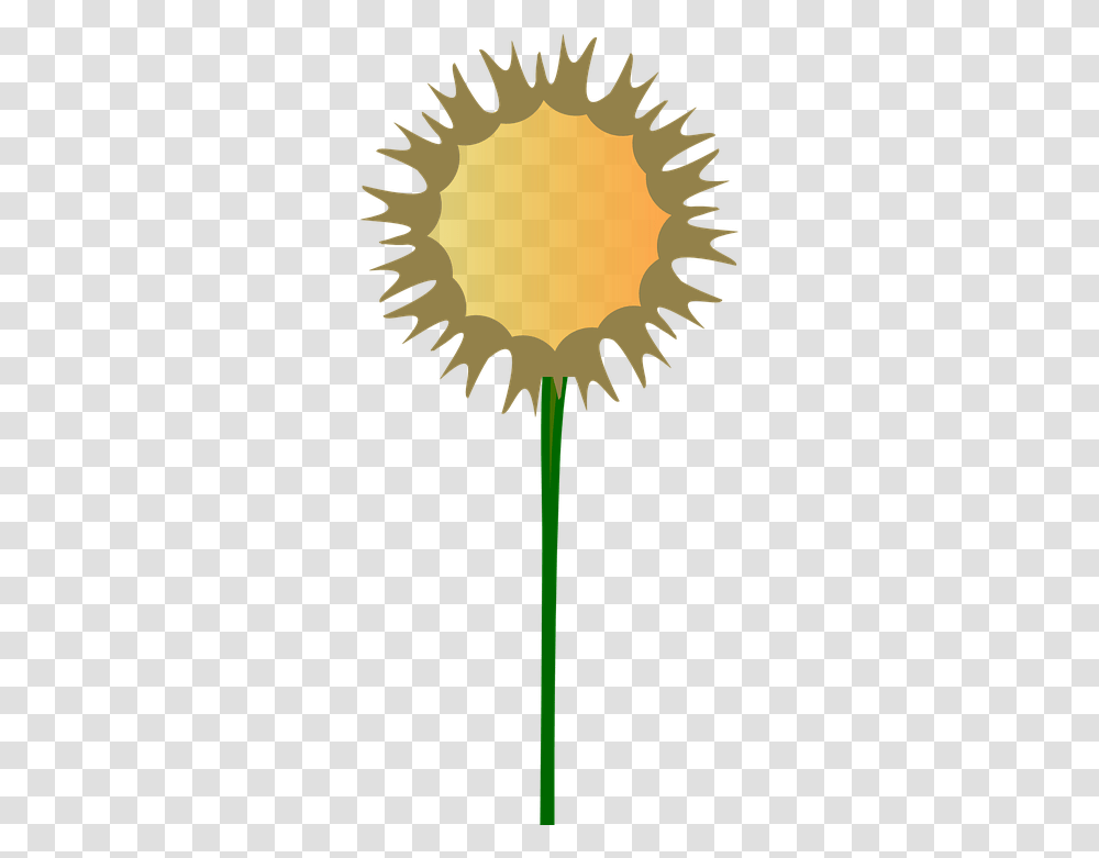 Thistle Flower Stem Free Vector Graphic On Pixabay Bloemstengel, Plant, Blossom, Sunflower, Daisy Transparent Png