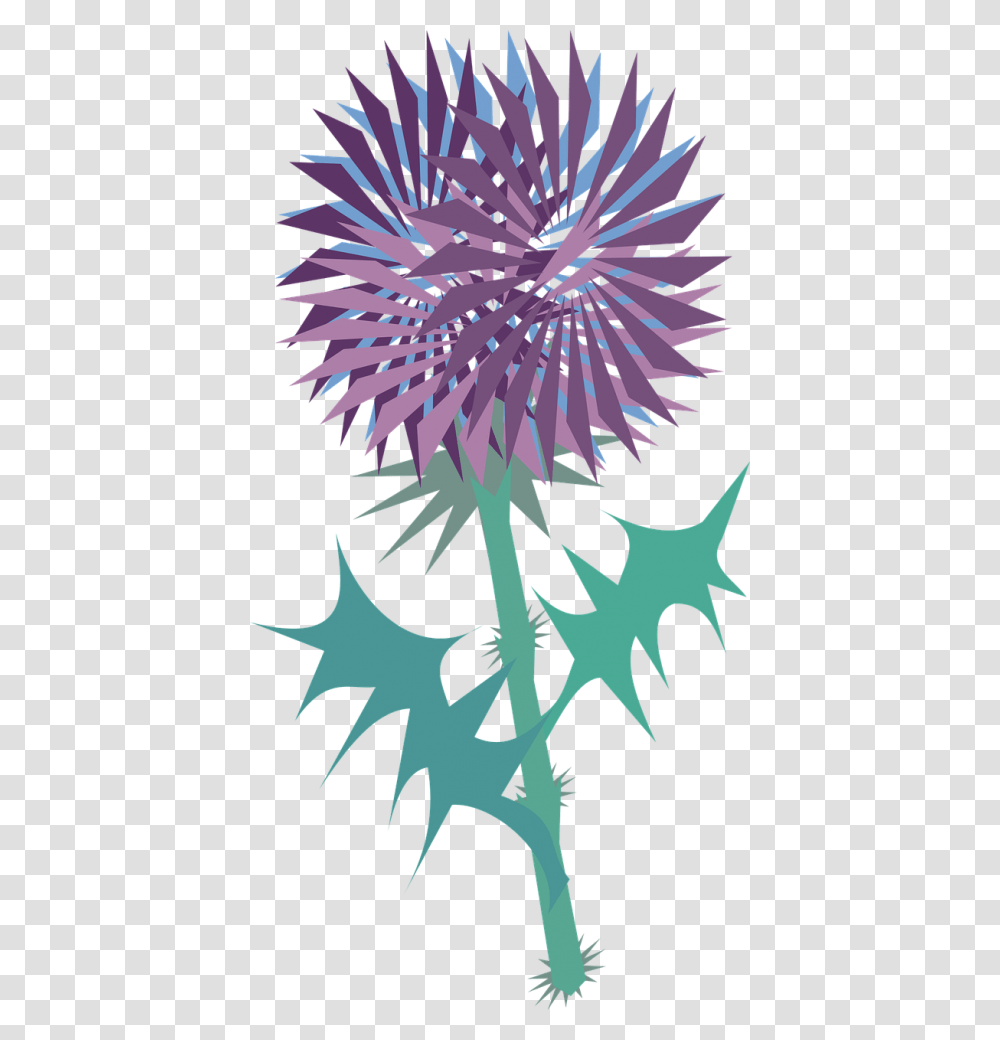 Thistles Clipart, Plant, Flower, Blossom Transparent Png