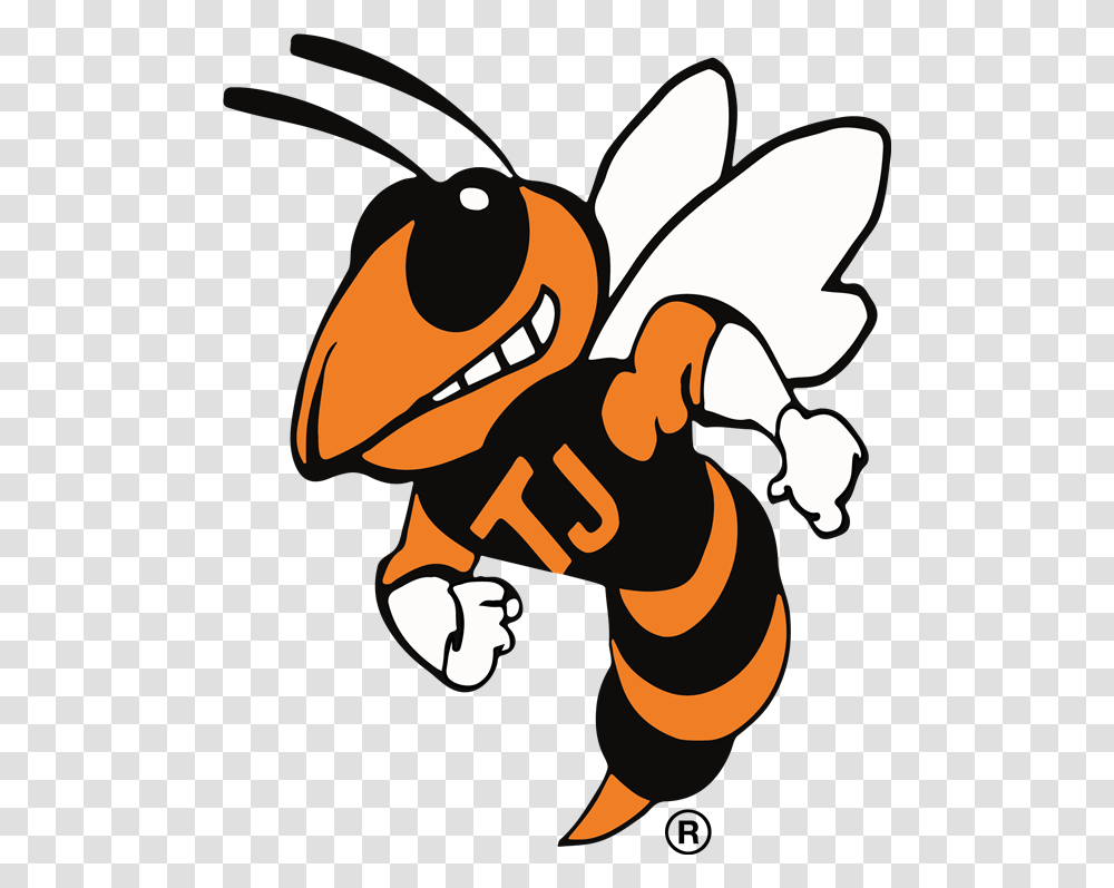 Thomas Jefferson High School Home, Wasp, Bee, Insect, Invertebrate Transparent Png