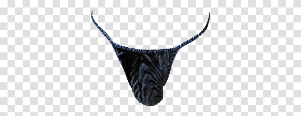 Thong Micro Thong, Clothing, Apparel, Lingerie, Underwear Transparent Png