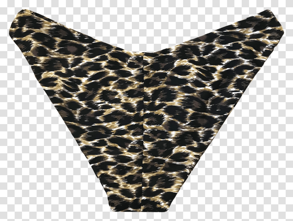 Thong, Rug, Triangle, Screen, Electronics Transparent Png