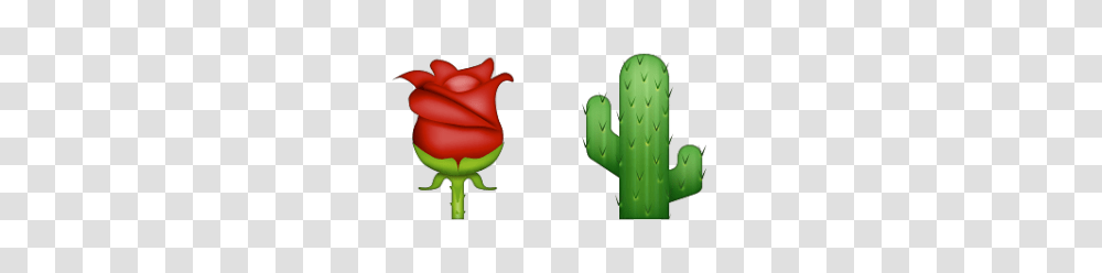 Thorn Emoji Meanings Emoji Stories, Plant, Food, Cactus, Vegetable Transparent Png