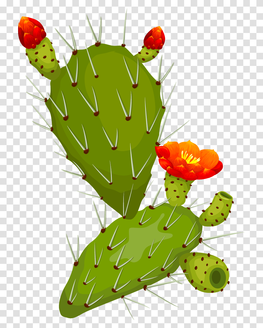 Thorn Fig, Plant, Cactus, Pineapple, Fruit Transparent Png