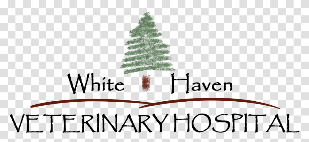 Thorn Vine, Tree, Plant, Ornament, Christmas Tree Transparent Png