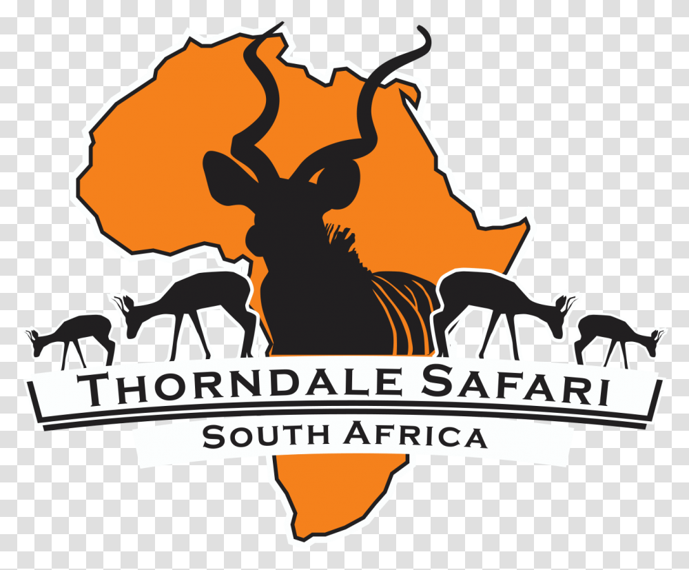 Thorndale Safari Logo Thorndale Safari South African Animal Logo, Symbol, Trademark, Fire, Flame Transparent Png