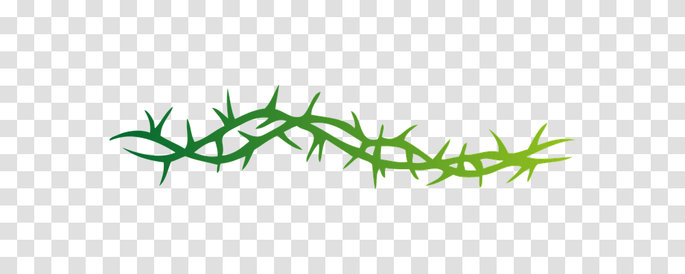 Thorns Nature, Reptile, Animal, Anole Transparent Png