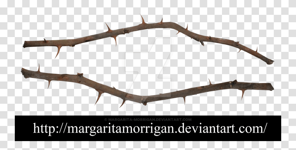 Thorns Of Roses, Number, Wood Transparent Png