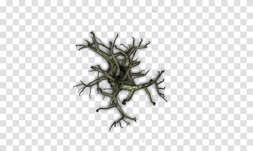 Thorny Vines Dundjinni, Root, Plant, Tree, Night Transparent Png