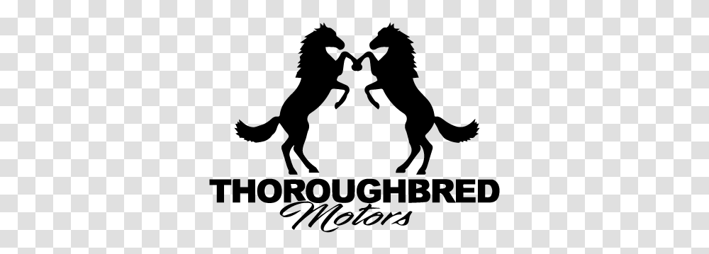 Thoroughbred Motors Dog Catches Something, Gray, World Of Warcraft Transparent Png