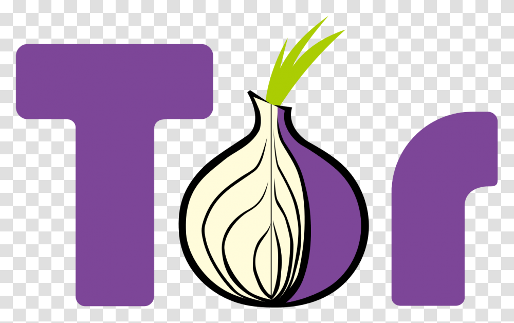 Threat Modeling Archives, Plant, Vegetable, Food, Onion Transparent Png