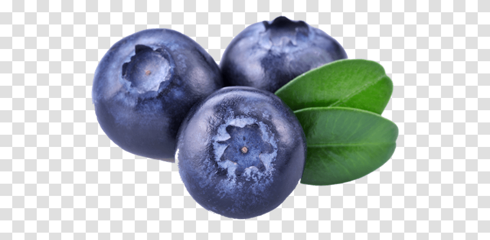 Three Blueberries Blue Berry Fruit, Plant, Blueberry, Food, Fungus Transparent Png