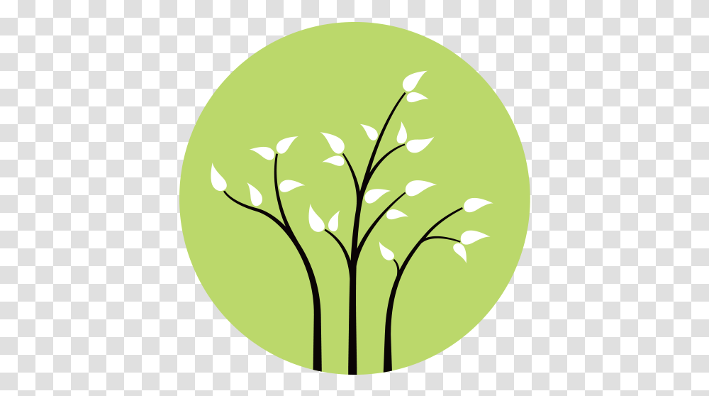 Three Branches Wellness Twig, Tennis Ball, Sport, Sports, Plant Transparent Png