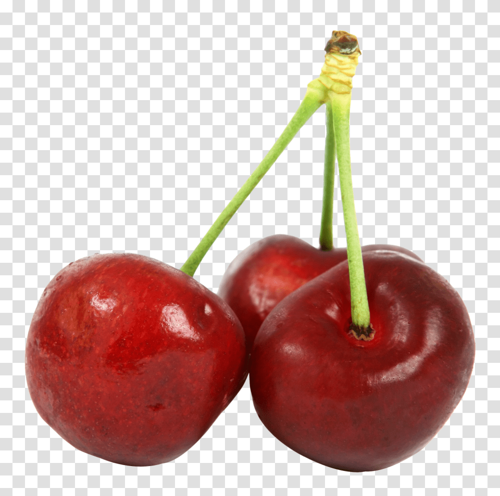 Three Cherries Image, Fruit, Apple, Plant, Food Transparent Png