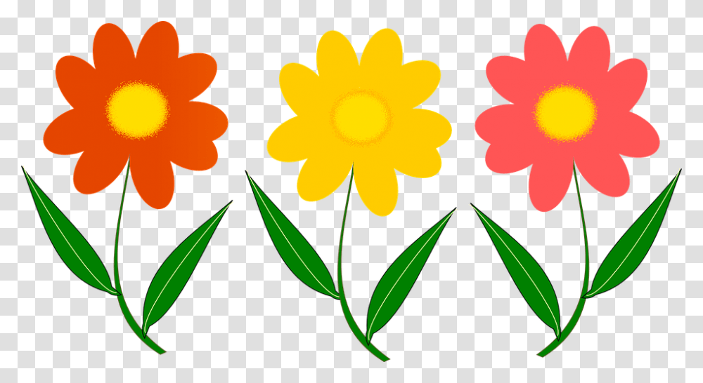 Three Colorful Flowers One Simple Gallery Canvas Artwork Flor Desenho Vetor, Plant, Blossom, Graphics, Petal Transparent Png
