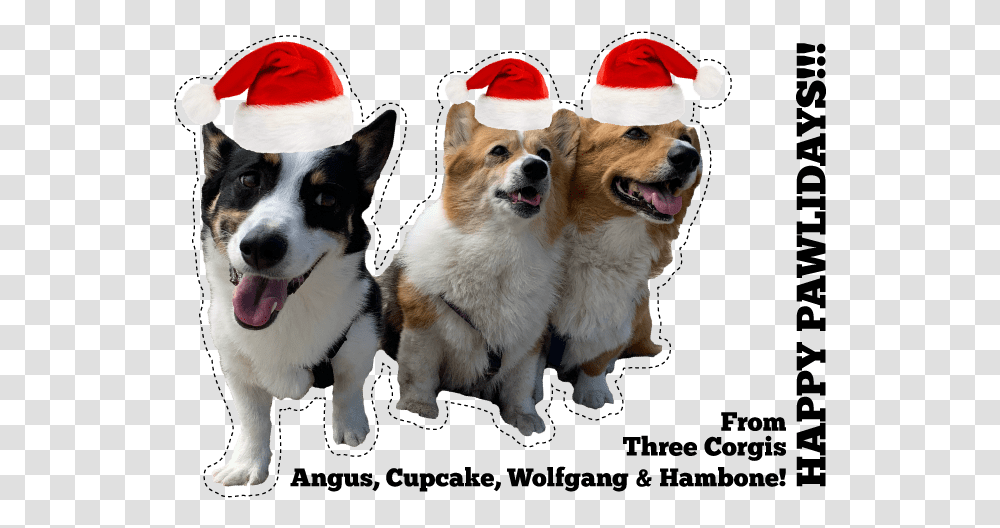 Three Corgis Official Blog Costume Hat, Dog, Pet, Canine, Animal Transparent Png