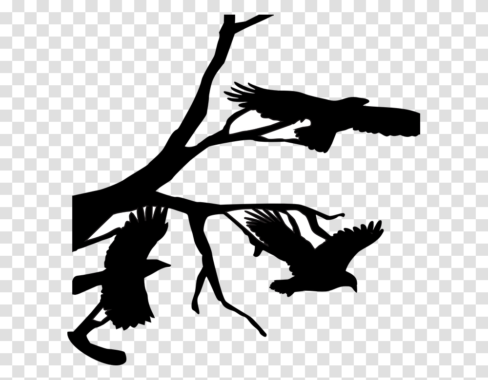 Three Crows Raven Crow On Branch Silhouette, Stencil, Musician, Musical Instrument Transparent Png