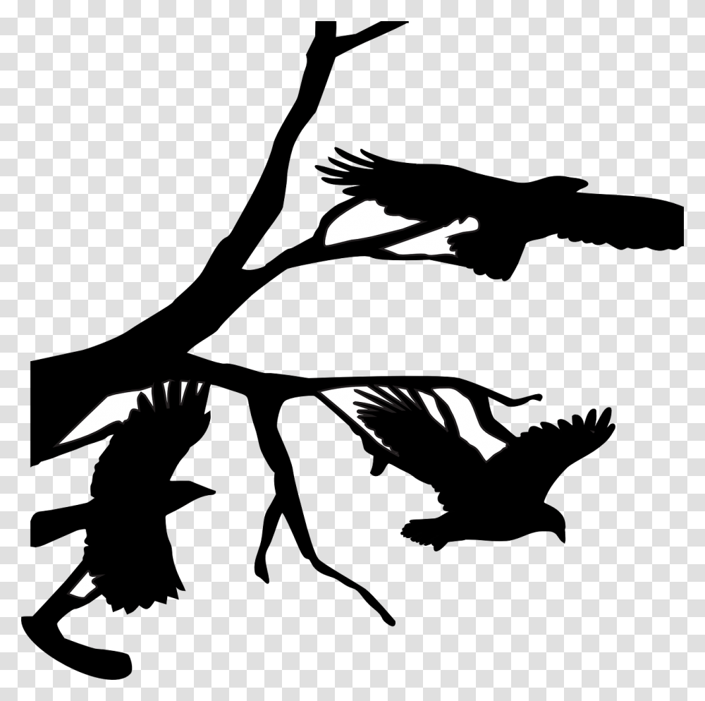 Three Crows Raven Flying Branch Branches Bird Crow On Branch Silhouette, Stencil, Musician, Musical Instrument Transparent Png