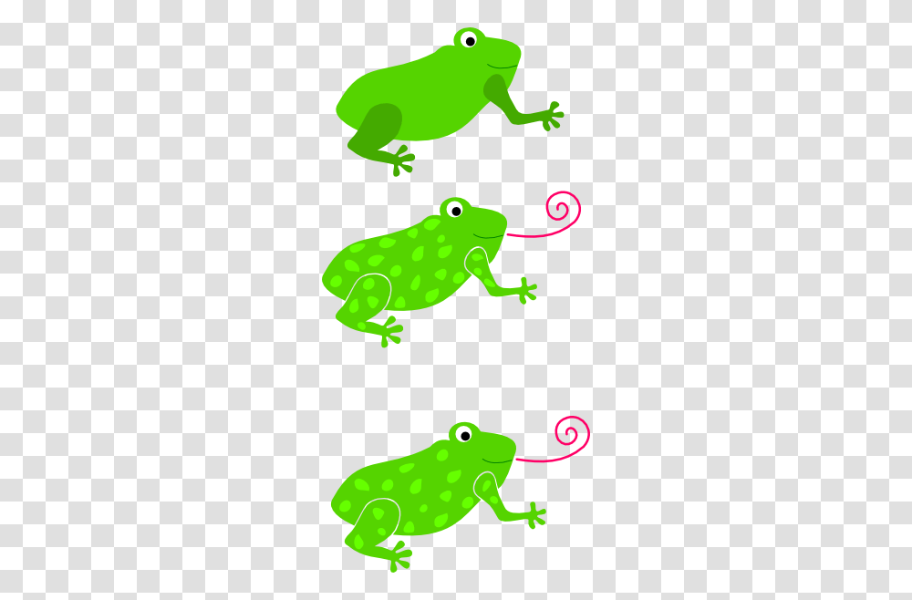 Three Different Frogs Clip Art For Web, Amphibian, Wildlife, Animal, Tree Frog Transparent Png