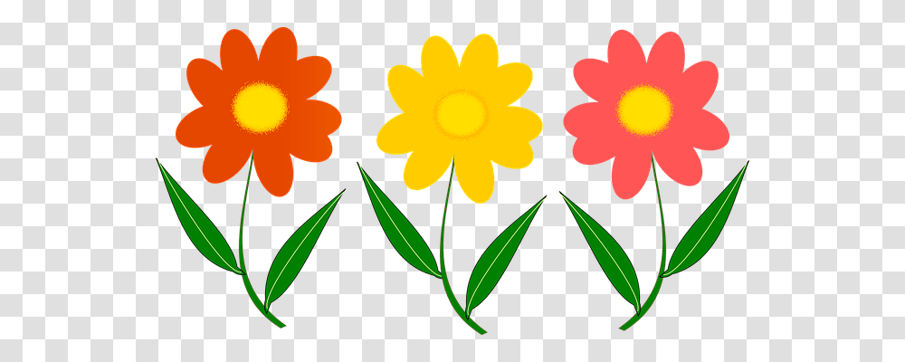 Three Flower Nature, Plant Transparent Png