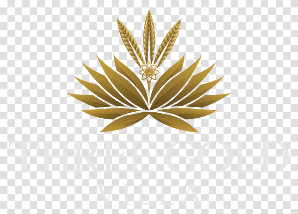 Three Gold Luxury Private Villa Illustration, Leaf, Plant, Logo Transparent Png