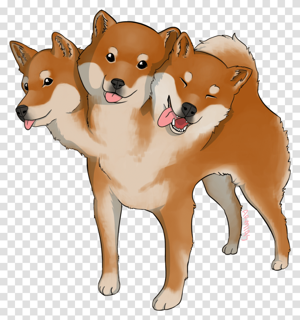 Three Good Bois For The Price Of One Hokkaido, Canine, Mammal, Animal, Pet Transparent Png