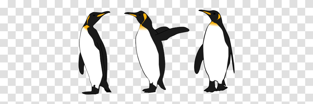 Three King Penguins, Bird, Animal Transparent Png