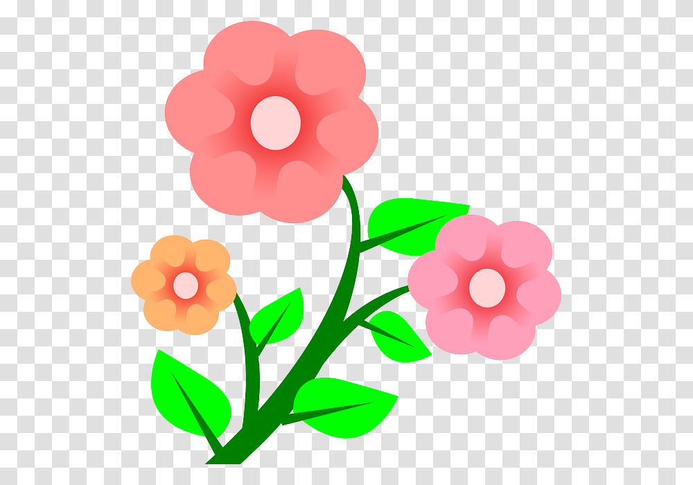 Three Plants Flower Flowers Cartoon Border Pink Rs Book, Spring, Anther, Floral Design Transparent Png