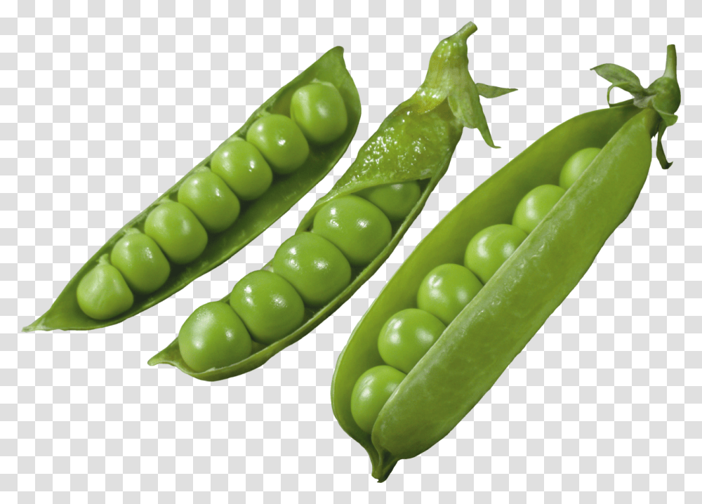 Three Pods With Peas Image Goroh Klipart, Plant, Vegetable, Food Transparent Png