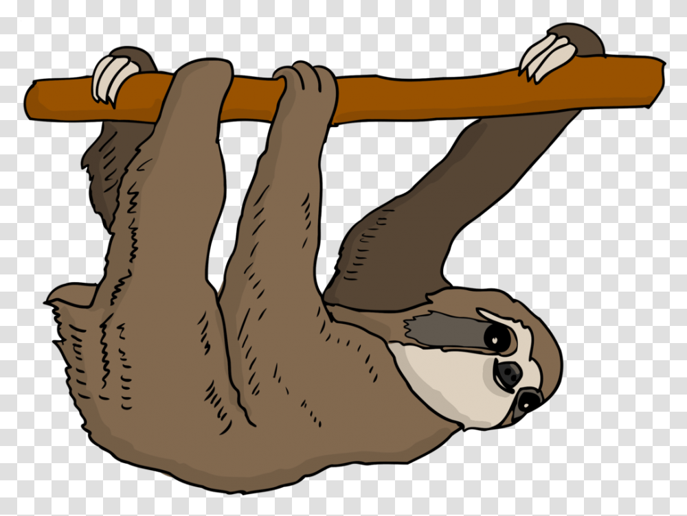 Three Toed Sloth Armadillo Anteater Bear, Slingshot, Animal, Mammal, Hook Transparent Png