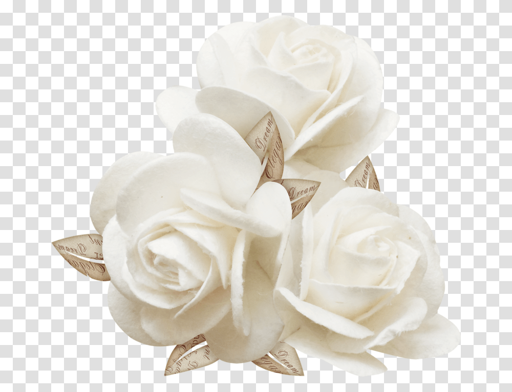 Three White Roses, Flower, Plant, Blossom, Flower Arrangement Transparent Png