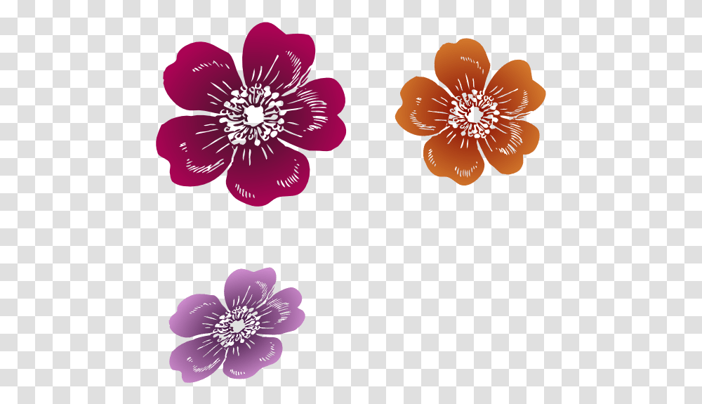 Three Wild Roses Clipart, Plant, Geranium, Flower, Blossom Transparent Png