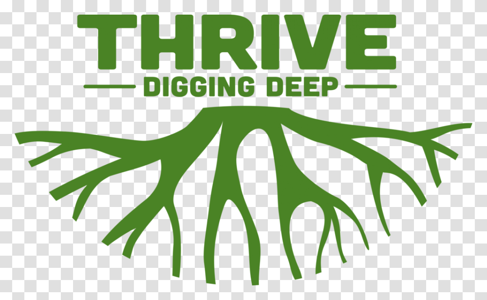 Thrive Logo Rgb Thrive, Poster, Advertisement, Plant Transparent Png