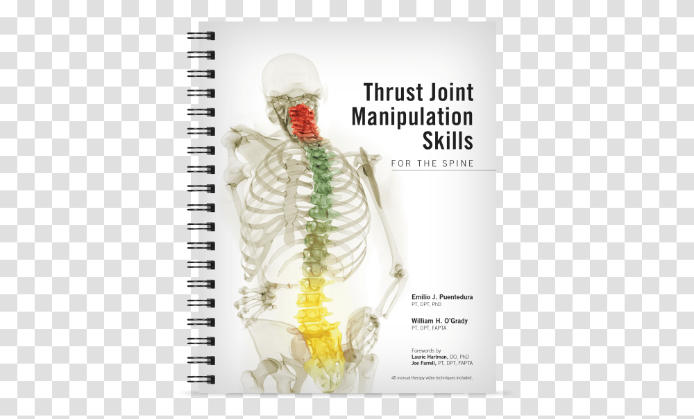 Thrust Joint Manipulation Skills For The Spine Thrust Joint Manipulation, Page, Paper, Skeleton Transparent Png