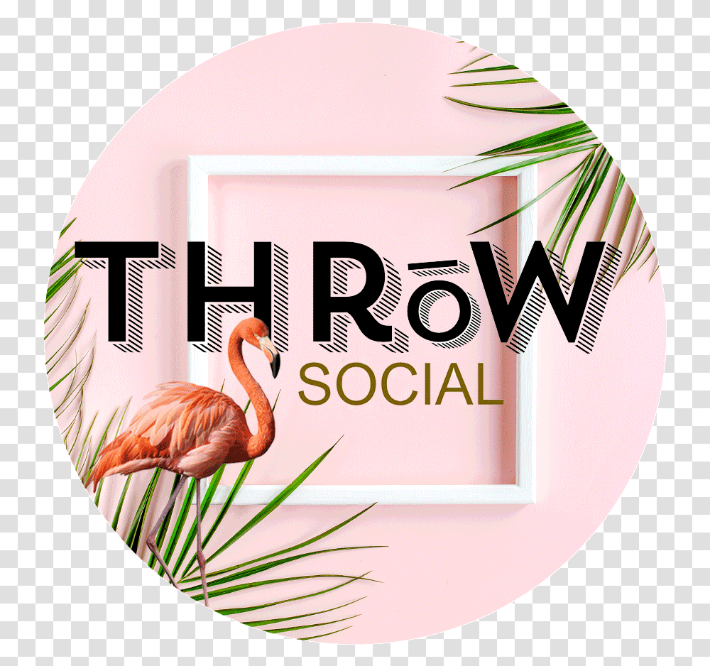 Thrw Social Washington Dc Curling Axe Throwing Lovely, Bird, Animal, Flamingo, Symbol Transparent Png