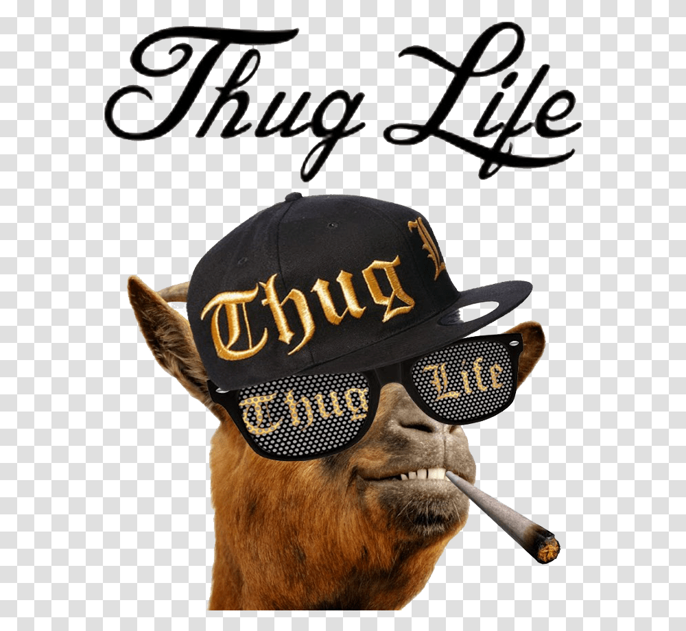 Thug Life Thugs Life, Person, Baseball Cap, Hat Transparent Png