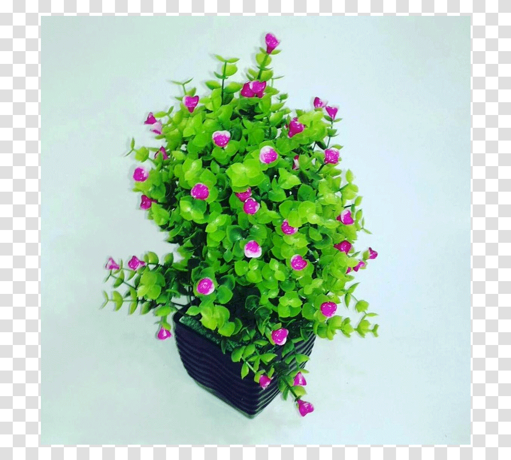 Thumb Bougainvillea, Plant, Flower, Blossom, Flower Arrangement Transparent Png